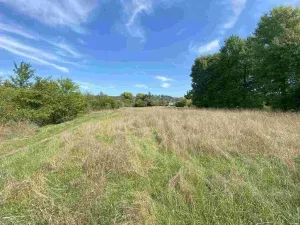 Prodej pozemku, Všenory, 601 m2