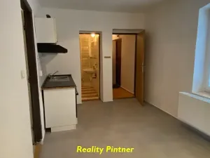 Prodej bytu 1+1, Březnice, V koleji, 40 m2