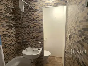 Pronájem bytu 1+kk, Písek, Dr. M. Horákové, 20 m2