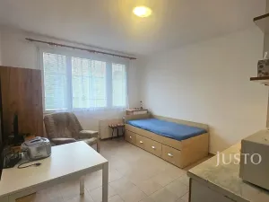 Pronájem bytu 1+kk, Písek, Dr. M. Horákové, 20 m2