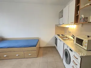 Pronájem bytu 1+kk, Písek, Dr. M. Horákové, 20 m2