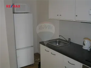 Pronájem bytu 1+kk, Praha - Holešovice, U papírny, 40 m2