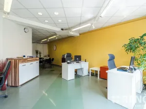 Prodej rodinného domu, Brno, Blatného, 265 m2