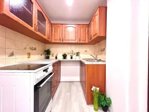 Prodej bytu 1+1, Praha - Žižkov, Biskupcova, 29 m2