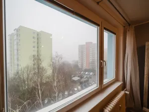 Prodej bytu 2+kk, Brno, Svážná, 47 m2