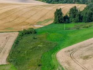 Prodej rybníku, Želetava, 5179 m2