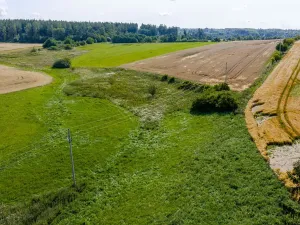 Prodej rybníku, Želetava, 5179 m2