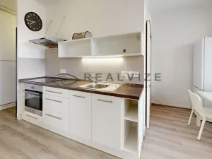 Prodej bytu 1+1, České Budějovice, K. Šafáře, 43 m2