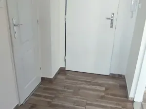 Pronájem bytu 1+1, Ostrava, Ahepjukova, 37 m2