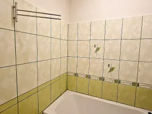 Pronájem bytu 1+1, Ostrava, Jindřichova, 39 m2