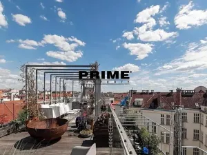 Pronájem bytu 4+kk, Praha - Vinohrady, Laubova, 260 m2