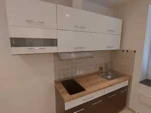Prodej atypického bytu, Štětí, Školní, 19 m2