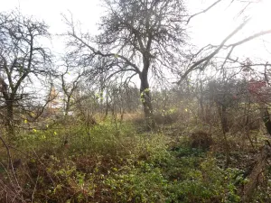 Prodej rodinného domu, Velké Meziříčí - Olší nad Oslavou, 140 m2