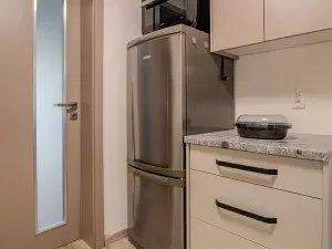 Pronájem bytu 2+kk, Pátek, 80 m2