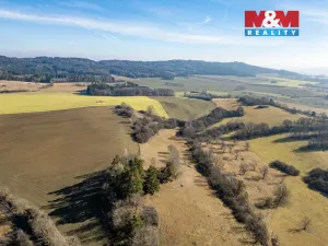 Prodej pole, Čepřovice, 53501 m2