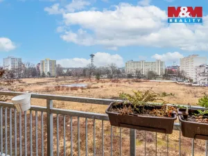 Prodej bytu 2+1, Pardubice - Zelené Předměstí, Palackého třída, 71 m2