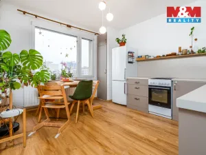 Prodej bytu 2+1, Pardubice - Zelené Předměstí, Palackého třída, 71 m2