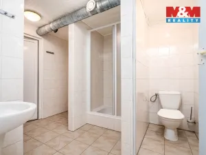 Prodej rodinného domu, Horní Třešňovec, 847 m2