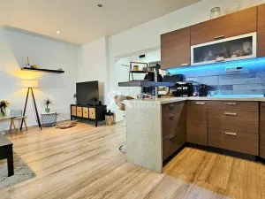 Pronájem bytu 2+kk, Opava, Ratibořská, 55 m2