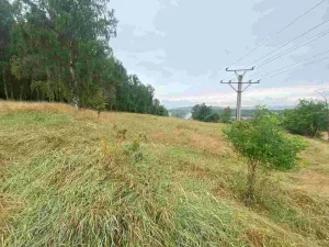 Prodej pole, Nové Sedlo - Loučky, 49321 m2