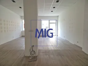 Pronájem obchodního prostoru, Brno, Merhautova, 70 m2