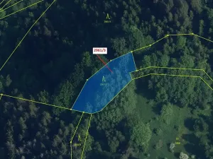 Dražba lesa, Český Dub, 1217 m2