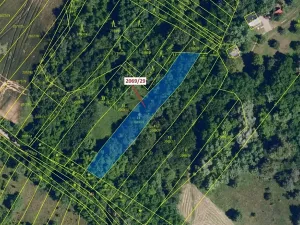 Dražba lesa, Ivančice, 1130 m2