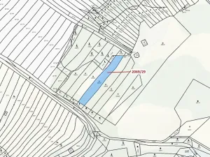 Dražba lesa, Ivančice, 1130 m2