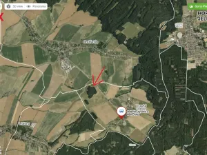 Prodej lesa, Ostřetín, 21595 m2