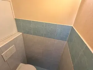 Pronájem bytu 2+1, Písek, 59 m2