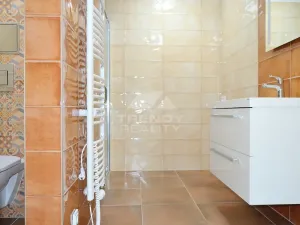 Pronájem bytu 1+kk, Plzeň, Na Roudné, 50 m2