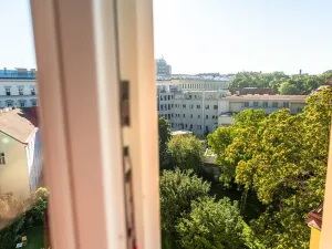 Pronájem bytu 1+kk, Praha - Nové Město, Lípová, 48 m2