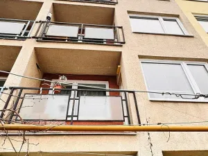 Prodej rodinného domu, Brno, Kupkova, 176 m2