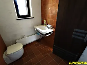 Prodej vícegeneračního domu, Staré Město pod Landštejnem, 1150 m2