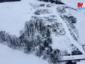 Prodej louky, Březí, 11766 m2