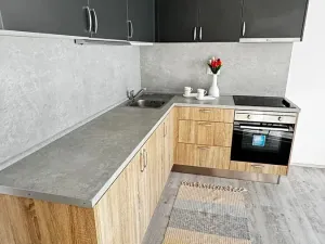 Pronájem bytu 1+kk, Pardubice, Pod Vinicí, 33 m2