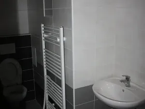 Pronájem bytu 2+1, Praha - Holešovice, Dělnická, 48 m2