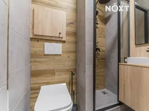 Pronájem bytu 1+kk, Ostrava, Aleše Hrdličky, 25 m2