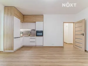 Pronájem bytu 1+kk, Ostrava, Aleše Hrdličky, 25 m2