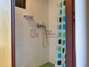 Pronájem chaty, Plavsko, 110 m2