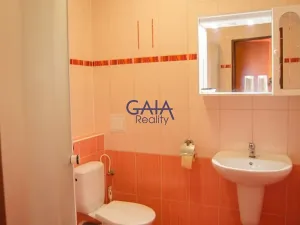 Pronájem ubytování, Veselí nad Moravou, Sadová, 170 m2