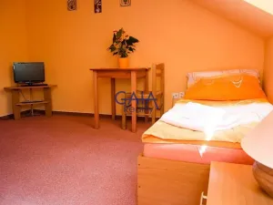 Pronájem ubytování, Veselí nad Moravou, Sadová, 170 m2