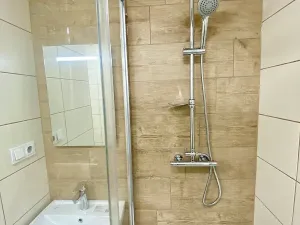 Pronájem bytu 1+kk, Ostrava, Gen. Janouška, 31 m2