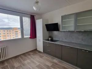 Prodej bytu 1+1, Blovice, 5. května, 40 m2