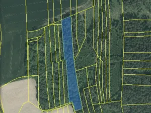 Prodej lesa, Blížejov - Lštění, 6627 m2