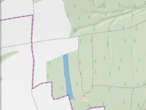 Prodej lesa, Blížejov - Lštění, 6627 m2