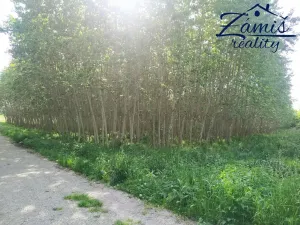 Prodej sadu/vinice, Kačice, K zahradě, 43712 m2