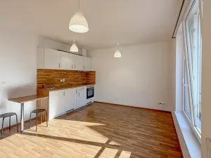 Pronájem bytu 1+kk, České Budějovice, Otakarova, 26 m2