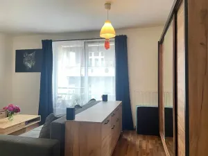 Pronájem bytu 1+kk, České Budějovice, Otakarova, 26 m2