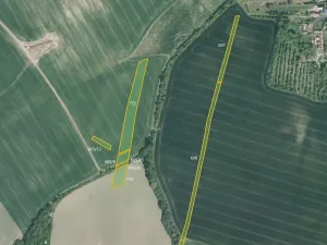 Prodej pole, Honětice, 76559 m2